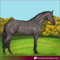 Horse Color:Grullo 