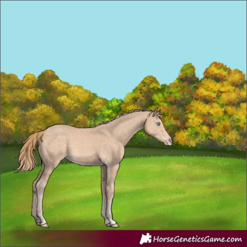 Horse Color:Perlino 