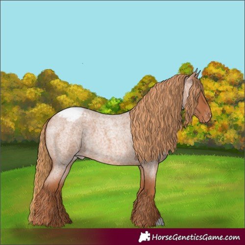 Horse Color:Red Roan Varnish 