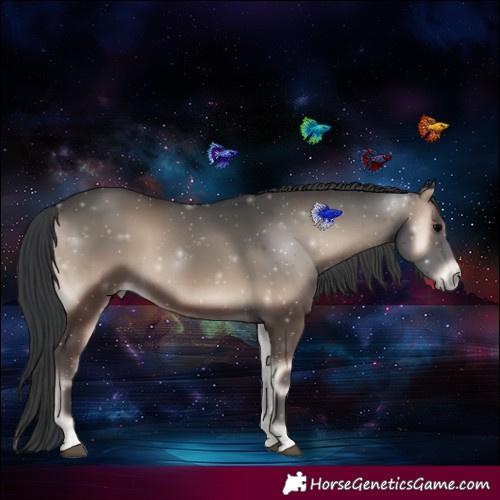 Horse Color:Blue Onyx 