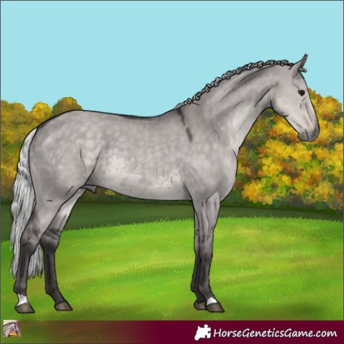 Horse Color:Platinum Silver Smoky Grullo 