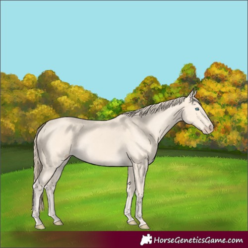 Horse Color:Perlino 