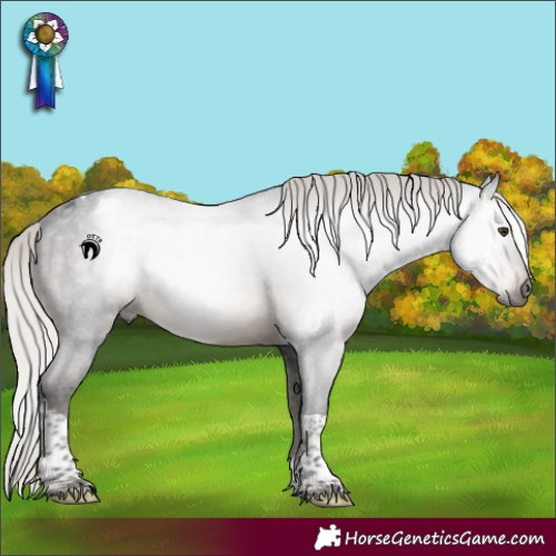 Horse Color:Gray Silver Brown Tobiano Appaloosa Rabicano
