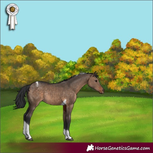 Horse Color:Brown Dun Tobiano Rabicano 
