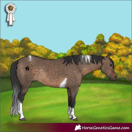 Horse Color:Brown Dun Tobiano Rabicano