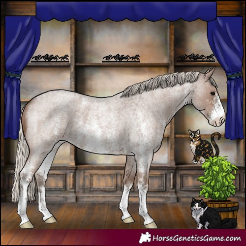 Horse Color:Silver Blue Roan Sabino