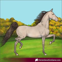 Horse Color:Amber Champagne Dun