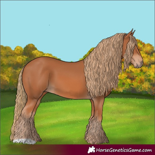 Horse Color:Chestnut 