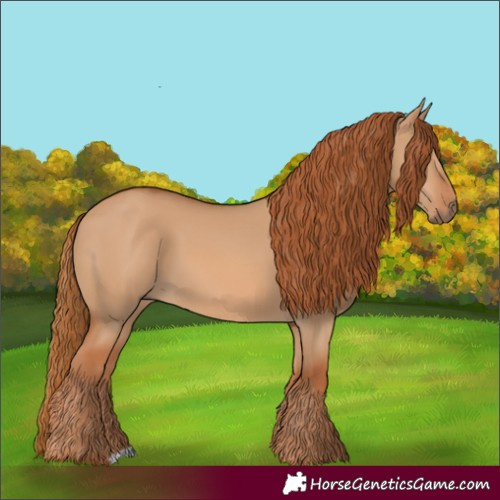 Horse Color:Red Dun 