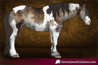 Horse Color:Liver Red Onyx Ice Tobiano