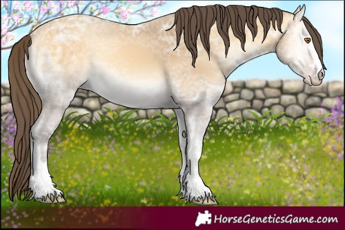 Horse Color:Amber Cream Champagne Ice Onyx 