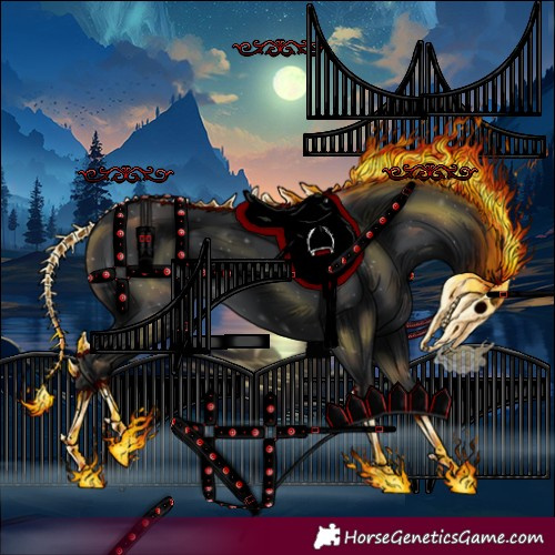 Horse Color:Black 