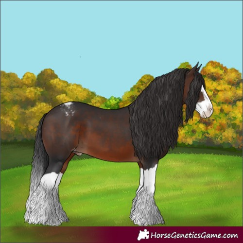 Horse Color:Brown Splash Varnish 