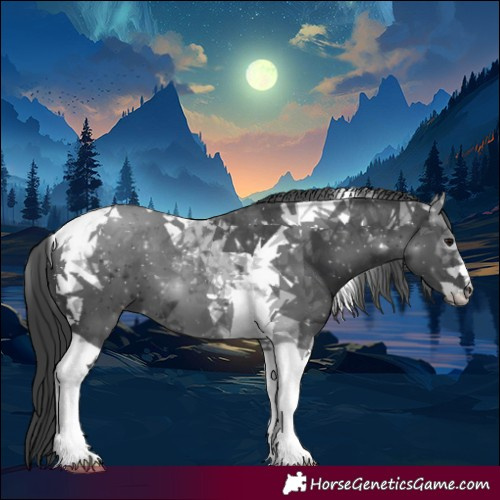 Horse Color:Black Tobiano 