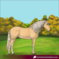 Horse Color:Palomino
