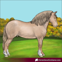 Horse Color:Chestnut Pearl 