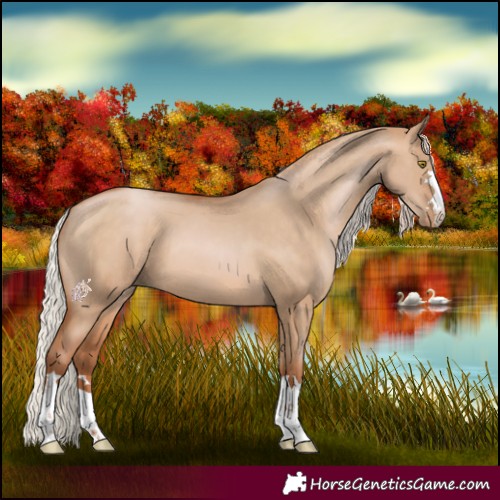 Horse Color:Silver Brown Pearl Dun 