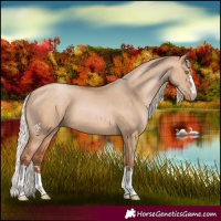 Horse Color:Silver Brown Pearl Dun