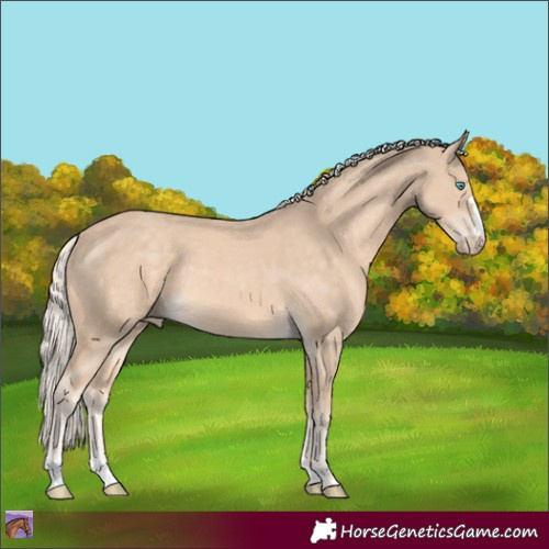Horse Color:Cremello 