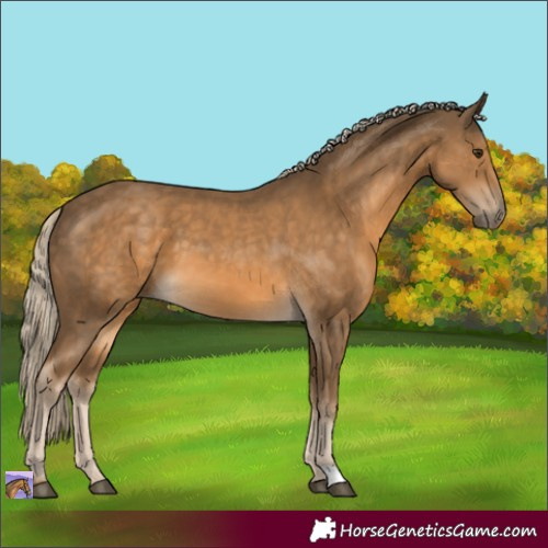 Horse Color:Chocolate Palomino 