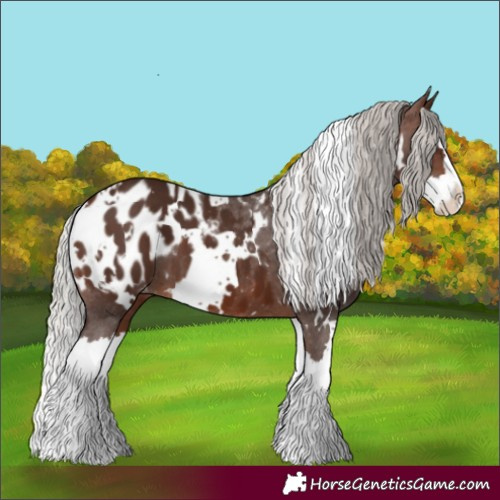 Horse Color:White Spotted Silver Brown Splash Appaloosa 