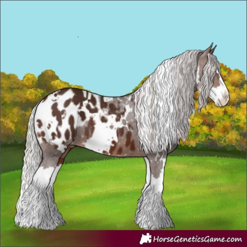 Horse Color:White Spotted Silver Brown Splash Blanket 