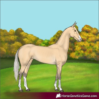 Horse Color:Silver Buckskin