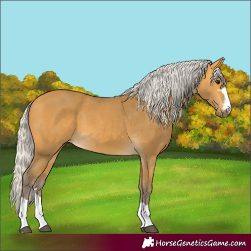 Horse Color:Unknown 