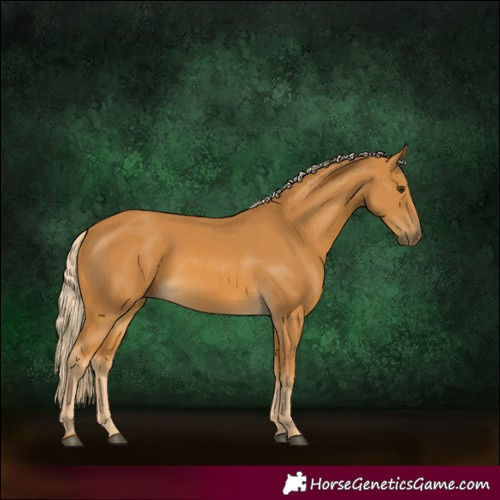 Horse Color:Palomino 