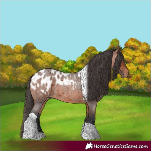 Horse Color:Bay Roan Tobiano Blanket 