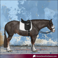 Horse Color:Liver Chestnut  and Liver Chestnut Rabicano 