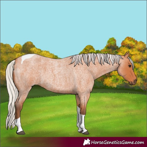 Horse Color:Silver Bay Roan Tobiano 