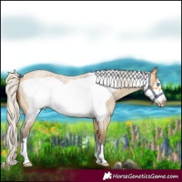 Horse Color:Silver Buckskin Roan Frame 