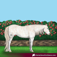 Horse Color:Perlino Sabino  and Perlino Sabino 