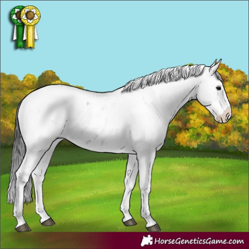 Horse Color:Smoky Black Sabino 