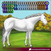 Horse Color:Brown Sabino Varnish 