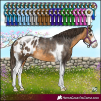 Horse Color:Buckskin Sabino Tobiano Blanket Rabicano