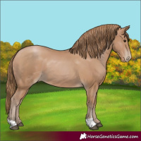 Horse Color:Black Pearl