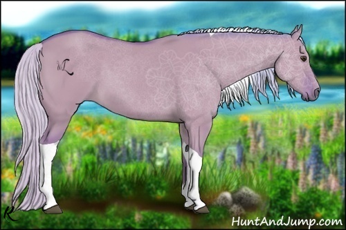 Horse Color:Watercolor Silver Bay Dun Tobiano Rabicano 