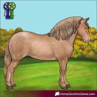 Horse Color:Chestnut Pearl