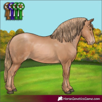 Horse Color:Chestnut Pearl 