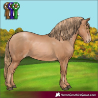 Horse Color:Chestnut Pearl 