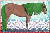 Horse Color:Watercolor Bay 