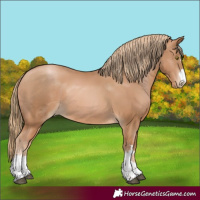 Horse Color:Chestnut Pearl 