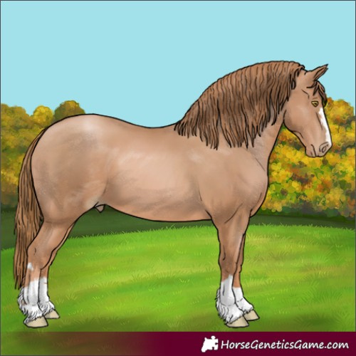 Horse Color:Chestnut Pearl 
