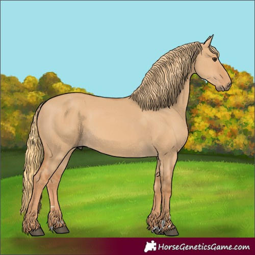 Horse Color:Red Dun 