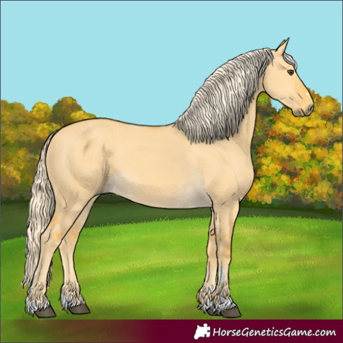 Horse Color:Palomino Dun 