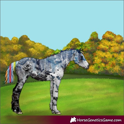 Horse Color:ERROR: UNKNOWN ANOMALY