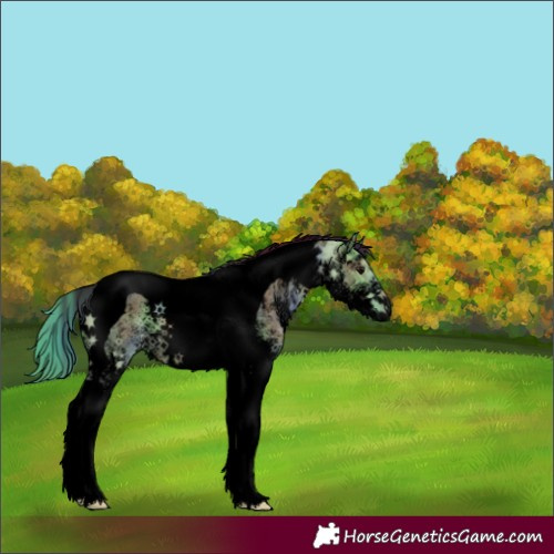 Horse Color:Void Nacre Watercolor White Spotted Grullo Ice Tobiano 