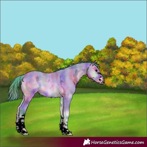 Horse Color:Void Nacre Watercolor Bay Ice Onyx 